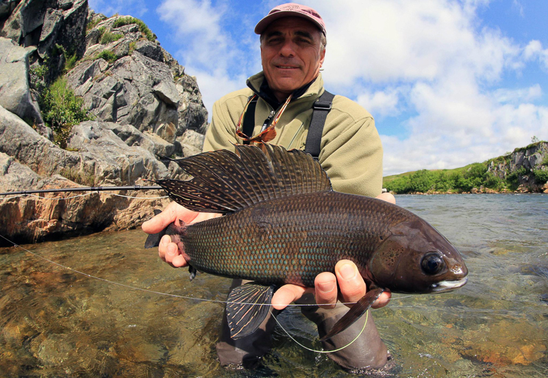 Fly-Fishing for Alaska's Arctic Grayling: Sailfish of the North