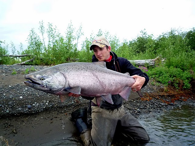 King Salmon on the FLY in Alaska! 