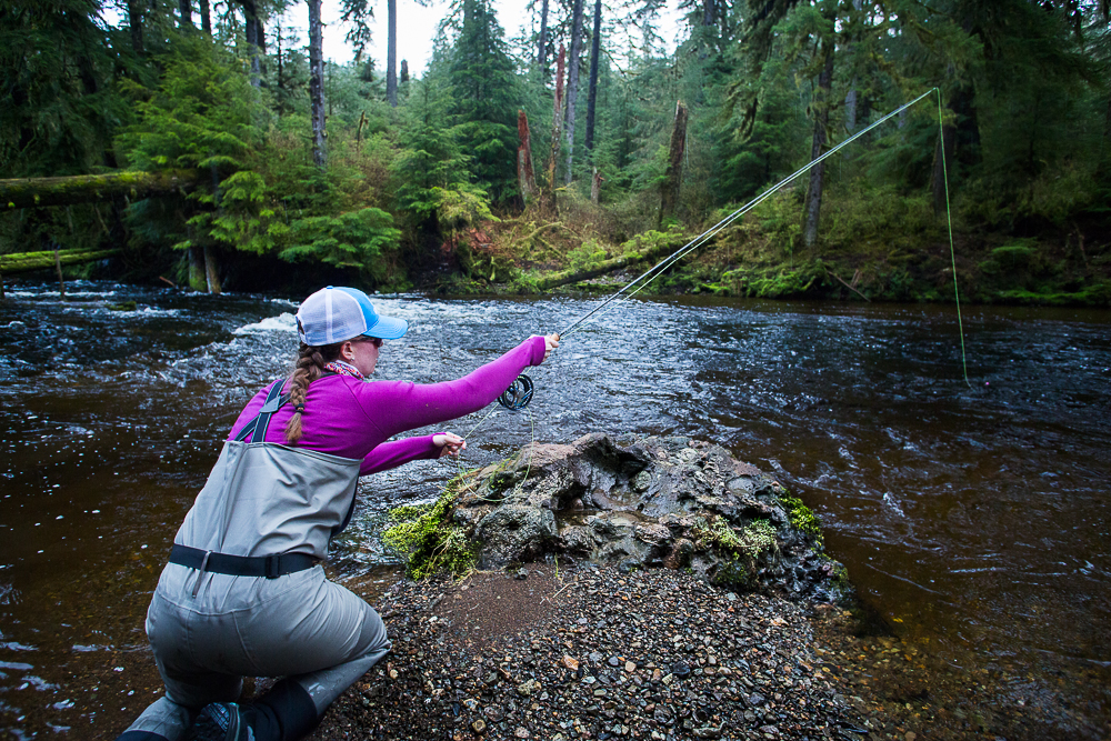 Alaska Steelhead