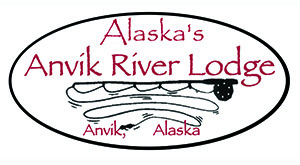 Anvik Logo
