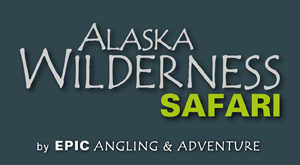 Alaska Wilderness Safari