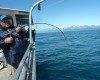 Alaska_Fishing_Lodge_Icy_Bay-16.jpg
