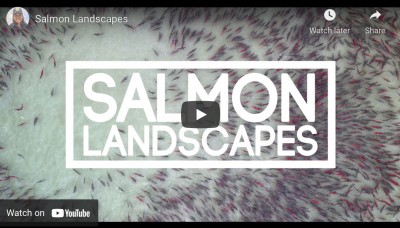 Salmon Landscapes